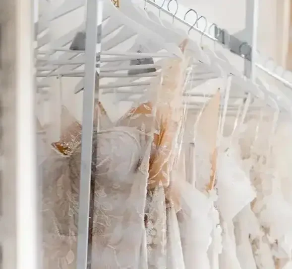 What is a Sample Sale?