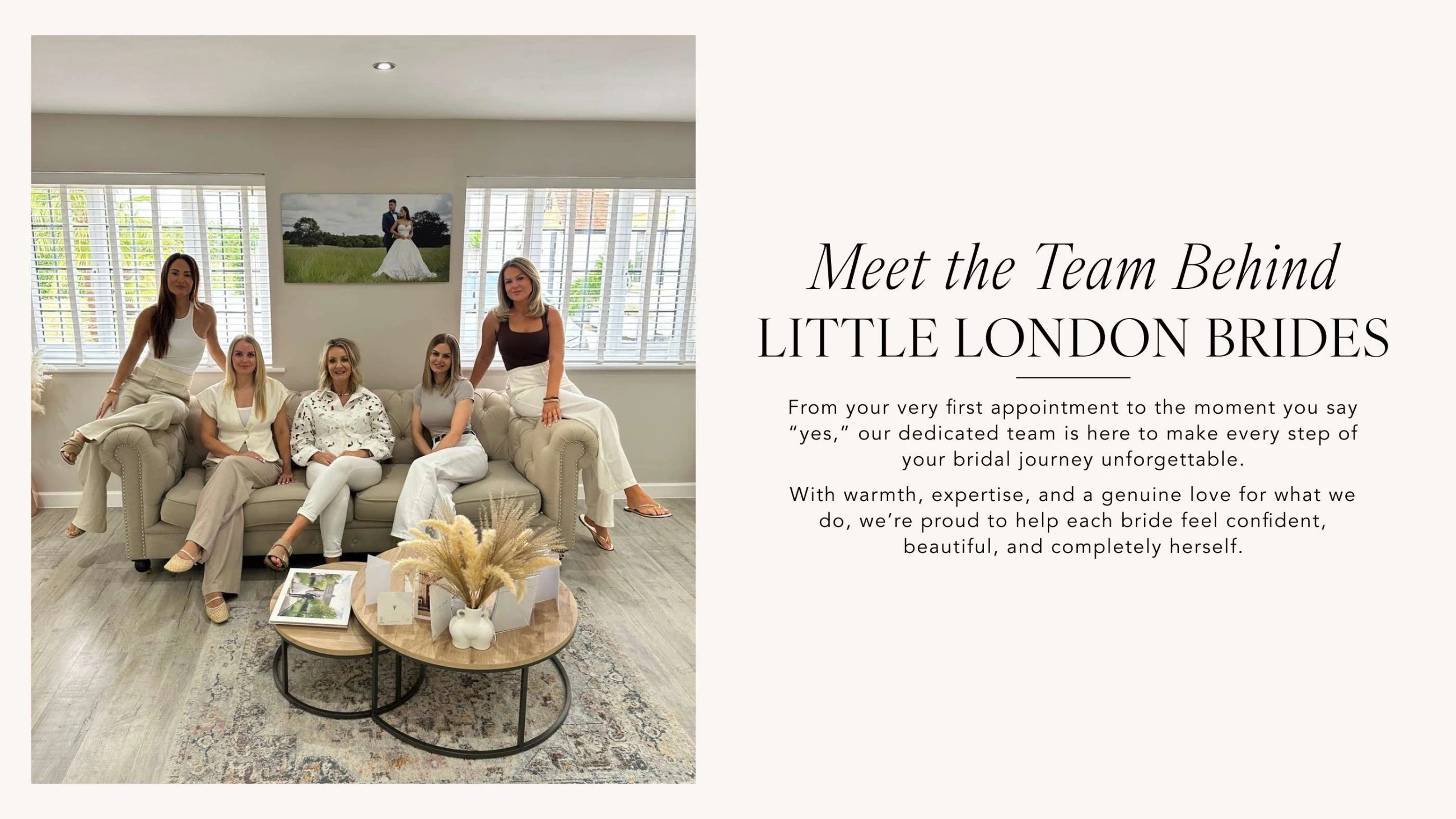 Meet the Team